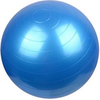 Mad Ally 60cm Exercise Ball Blue